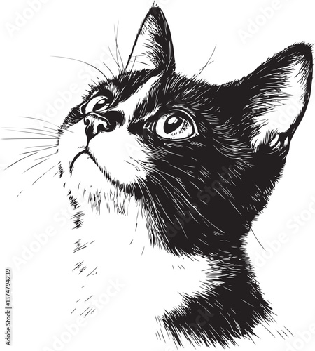 Inquisitive cat portrait with detailed black and white linework illustration. Vector illustration