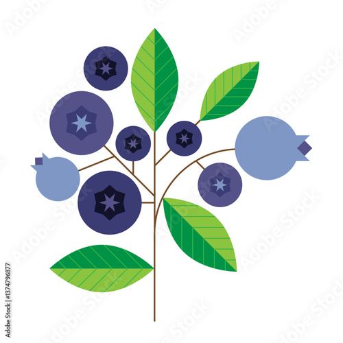 Blueberries on bush mid century modern 