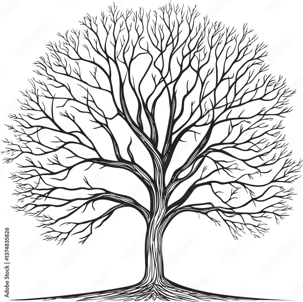 Obraz premium Leafless tree illustration with intricate branches in black and white design. Vector illustration