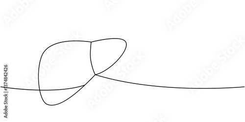Liver one line continuous drawing. Human internal organ continuous one line illustration.