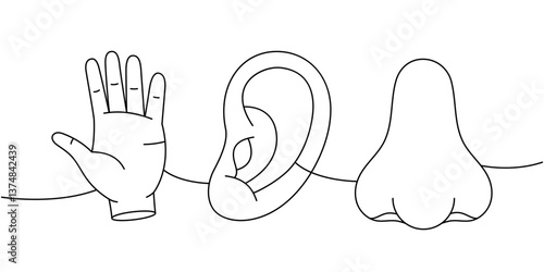 Set of human organ one line continuous drawing. Hand, nose, ear continuous one line illustration.