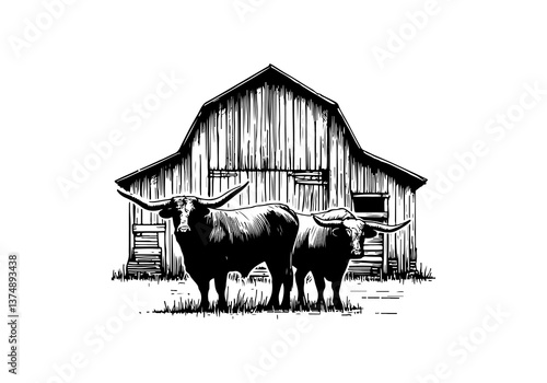 Texas Longhorn cattle hand drawn vector illustration