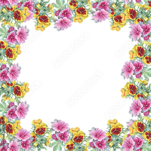Watercolor square frame with copy space yellow red pansy and malva on white background. Summer flower viola for botanical poster or celebration card. Plant with green leaves for wallpaper or wrapping