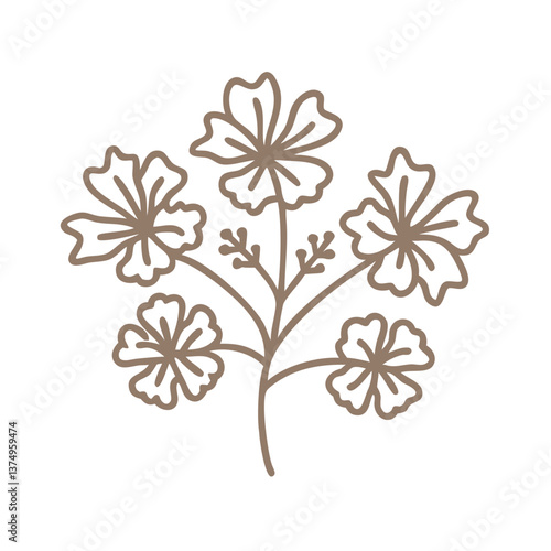 Watercress Flower Line Art Illustration