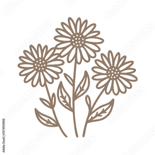 Daisy Flower Outline Illustration, Bellis Perennis