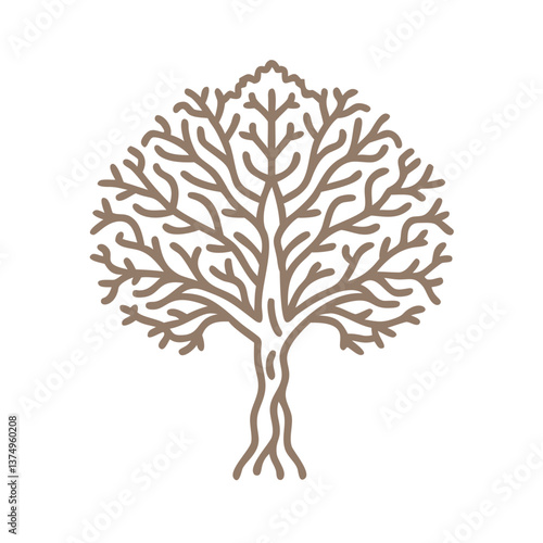 Elegant Elm Tree Outline Illustration