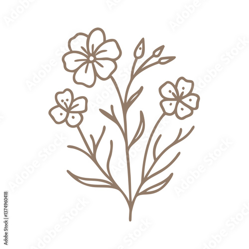 Flax Flower Line Art Illustration, Linum Usitatissimum