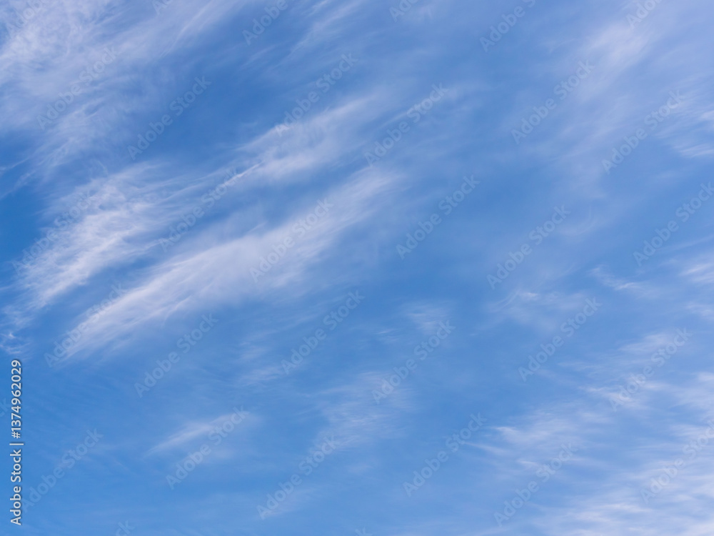 Fototapeta premium 春の空 青空と巻雲を見上げる13