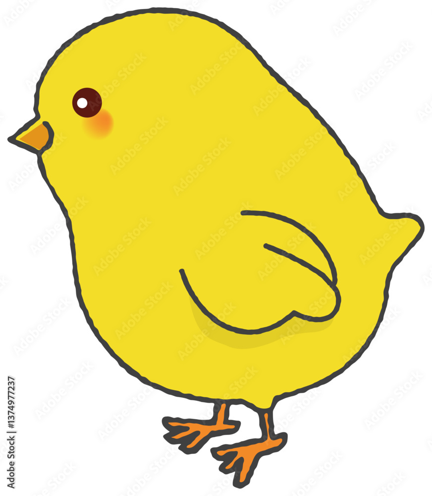 Chick Chick