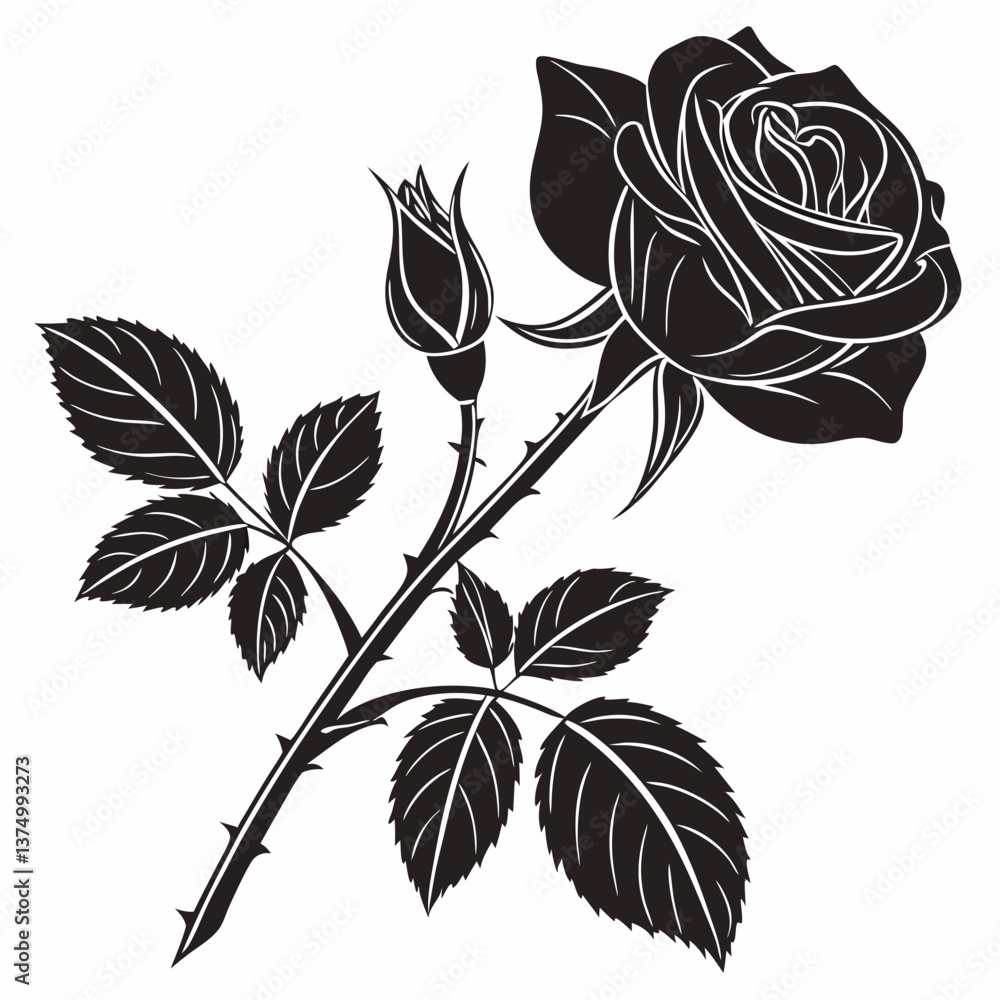 Rose vector illustration