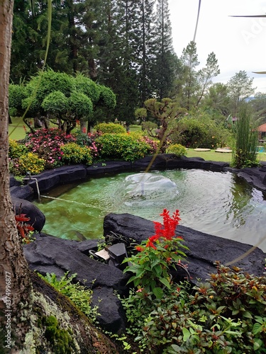 pond in the park