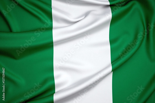 the flag of nigeria