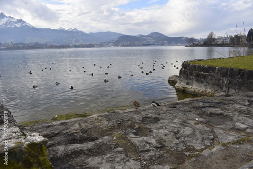 Vierwaldstättersee in Luzern