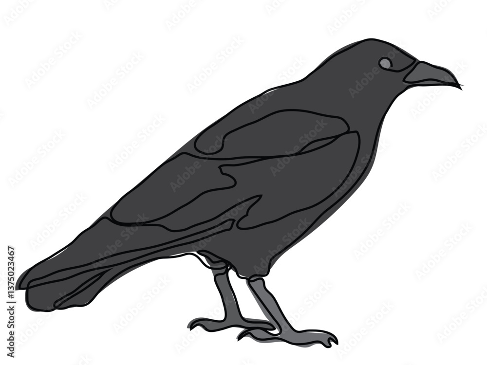 Obraz premium Crow in continuous line drawing on white background.