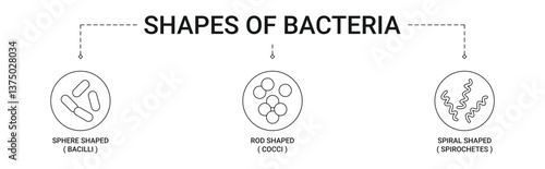 Shapes Of Bacteria Banner with icons concept illustration