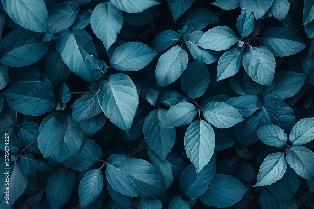 Overhead View of Teal Leaves Creates a Calming Natural Textured Background Overhead View of Teal Leaves Creates a Calming Natural Textured Background