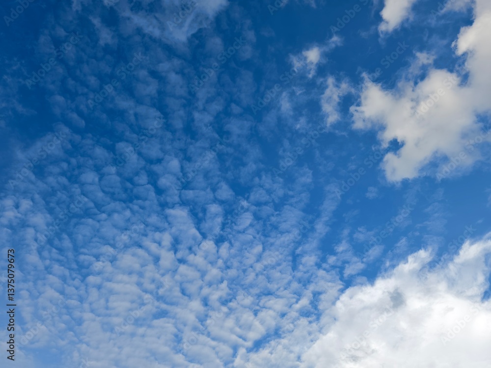 Fototapeta premium clear sky in the afternoon