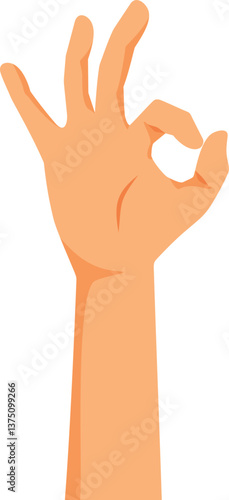 Hand Making Ok Gesture Vector Illustration Isolated on White Background.  Person making an approval gesture in nonverbal language  

