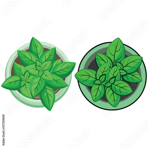 Print basil leaves in bowl vector white background