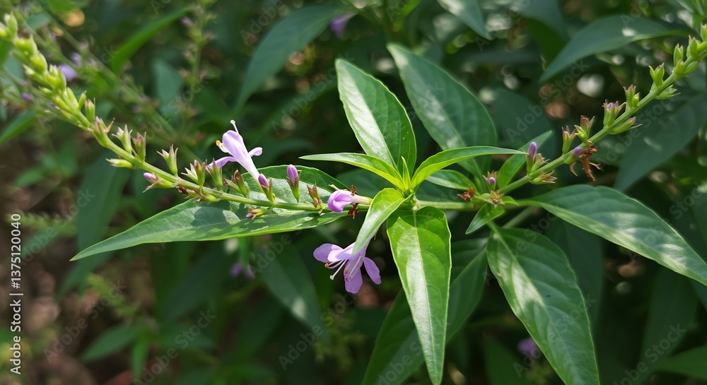Vibrant purple flowers and lush green leaves bathed in soft sunlight. AI Generated Vibrant purple flowers and lush green leaves bathed in soft sunlight. AI Generated