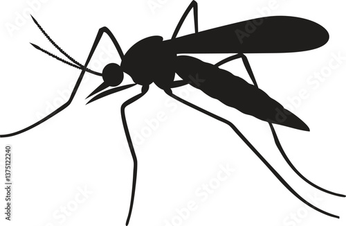 Close-up of a mosquito sucking blood isolated on a white background