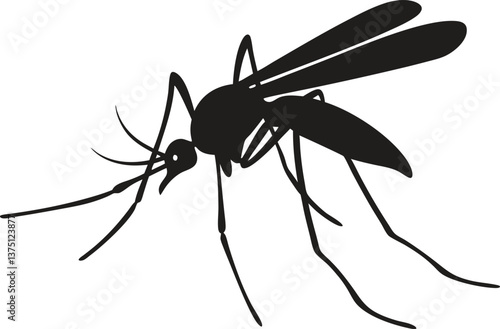 Close-up of a mosquito sucking blood isolated on a white background