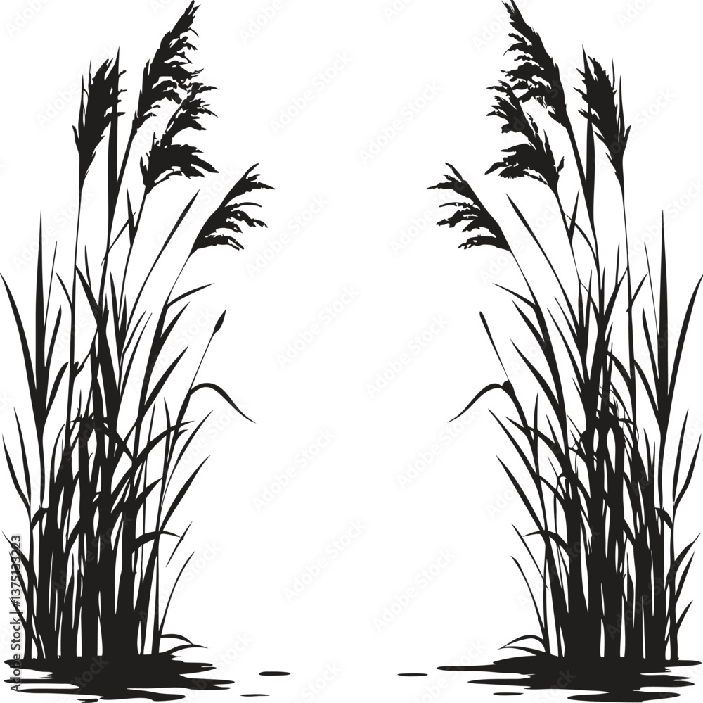 Obraz premium Reeds swaying in the wind on a white background with natural elements of grass, wheat, and crops representing the beauty of a rural summer field