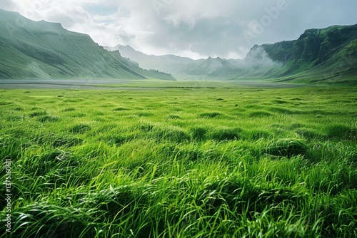 Fototapeta Naklejka Na Ścianę i Meble -  An expansive field of green grass stretches out under a cloudy sky in Iceland, with distant mountains in the background, Endless expanse of lush green meadows
