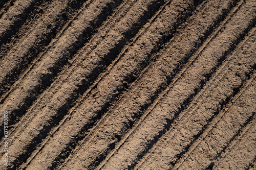 Принти на полотні Plowed Furrows: Preparing the Soil for Planting