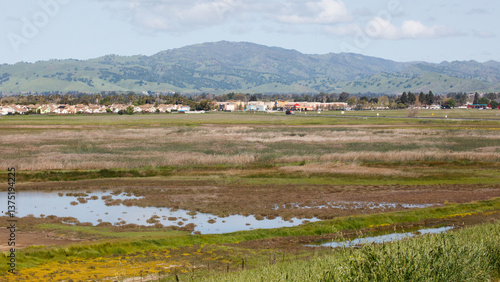 Open space and Suisun Marsh East of Suisun City, California.