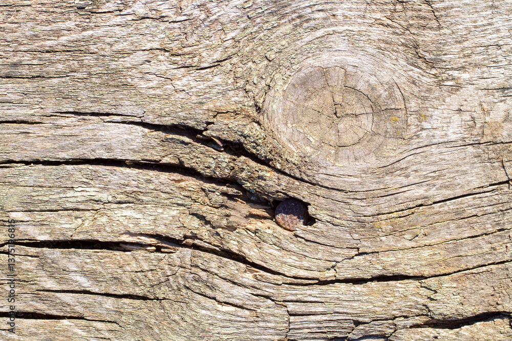 The texture of old cracked wood with a knot. Close-up of an old wooden plank. The texture of old cracked wood with a knot. Close-up of an old wooden plank.
