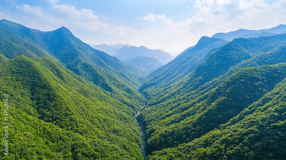 Naklejka premium Exploring a hidden valley river in a mountain forest landscape aerial view serenity and nature's wonders