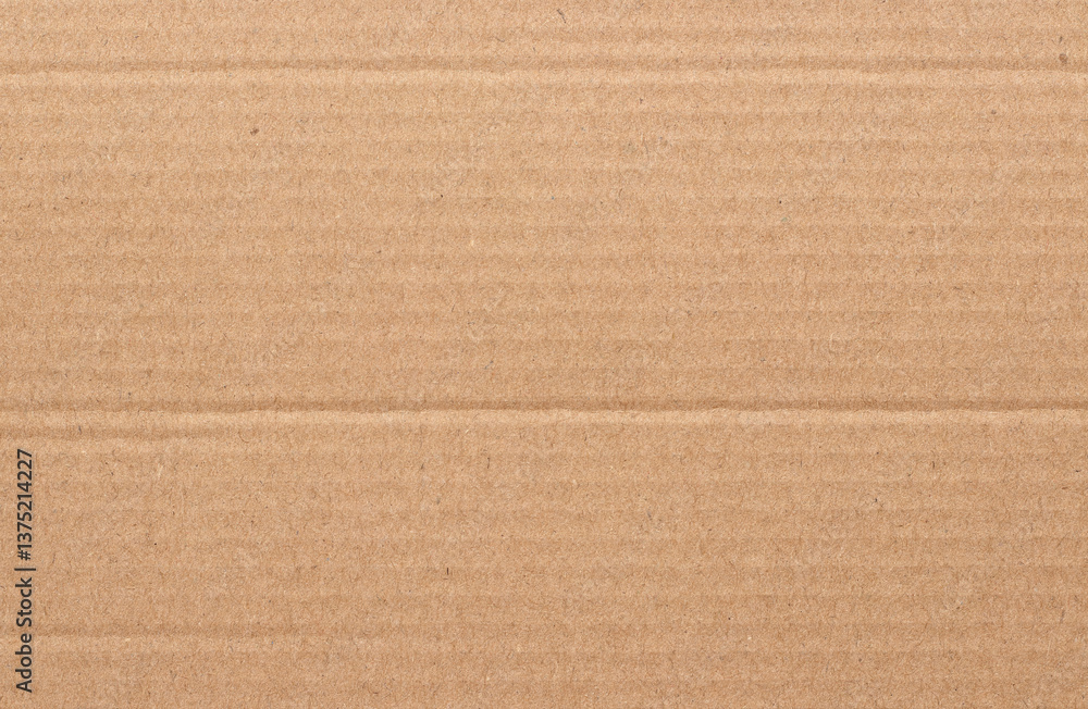 custom made wallpaper toronto digitalBrown cardboard sheet abstract background, texture of recycle paper box in old vintage pattern for design art work.