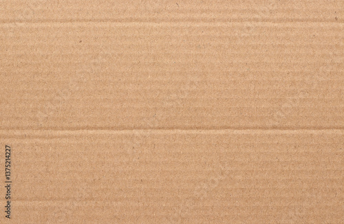 Wallpaper Mural Brown cardboard sheet abstract background, texture of recycle paper box in old vintage pattern for design art work. Torontodigital.ca