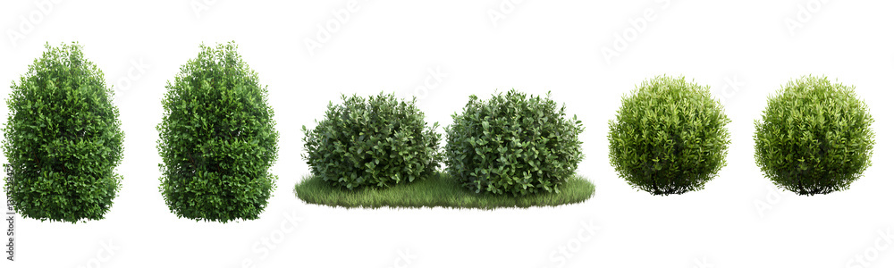 Fototapeta premium 2 realistic bushes isolated on a transparent background, PNG