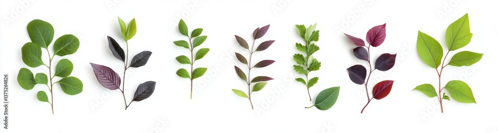 Fototapeta premium Vibrant plant sprigs with various leaf colors