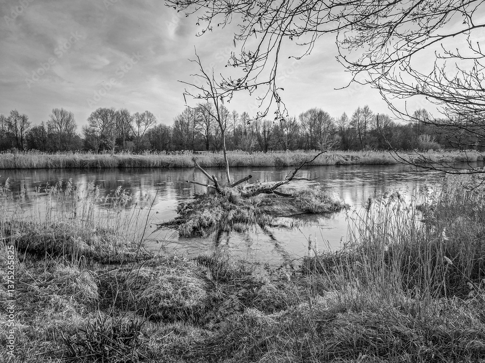 The Warta River and its tributaries, early spring, Poland.