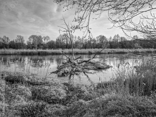Obraz na płótnie The Warta River and its tributaries, early spring, Poland. w salonie