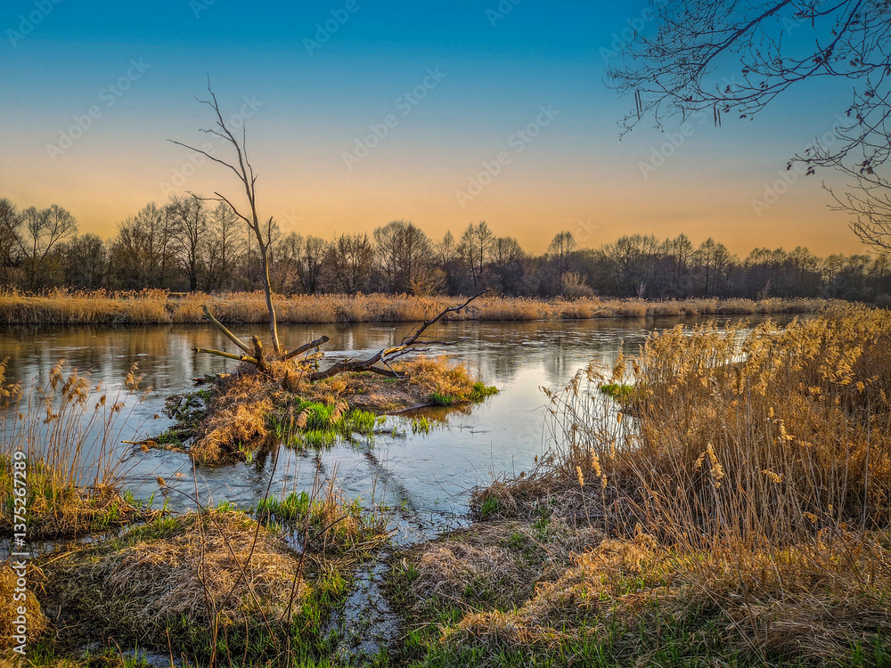 The Warta River and its tributaries, early spring, Poland.
