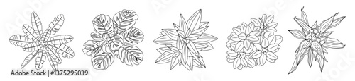 Set of different house plants top view. Cactus, aloe, monstera, palms black line art icons for landscape, architectural, interior design. Hand drawn Vector sketch isolated on transparent background