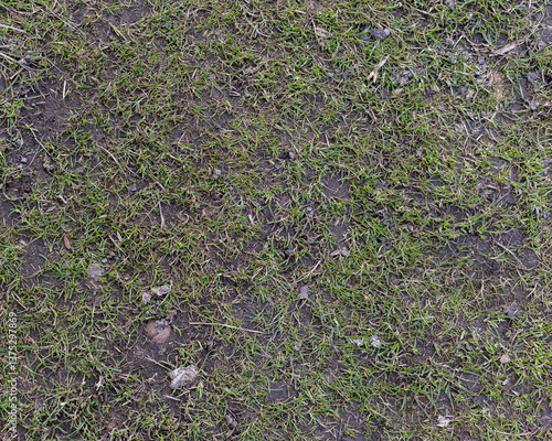 Top view of soil texture with grass. Earth background, green sprouts. A bare field overgrown with grass. Field problems	