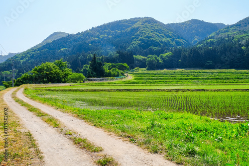 田舎の風景