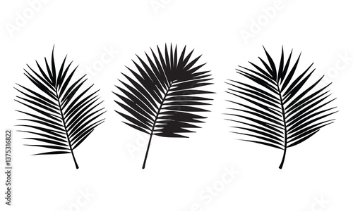 
leaf silhouette vector set, black illustration,