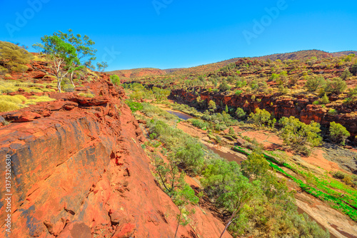 Obraz na płótnie Panoramic views of ancient forest of Red Cabbage Palm in Palm Valley along Arankaia Walk. Finke Gorge National Park in Northern Territory, Central Australia, Outback desert Safari. w salonie