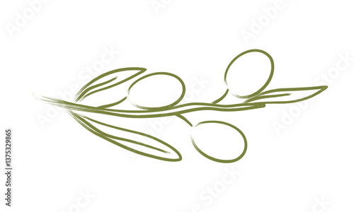 Hand drawn crayon olive tree branch. Minimal pencil brush for sketch, ink art, menu, poster, tattoo. Chalk charcoal olives. Isolated doodle vector illustration.