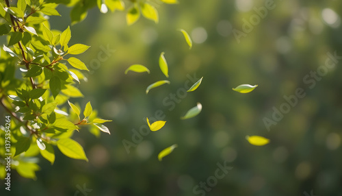 Wallpaper Mural Flying green leaves on transparent background. Fresh spring foliage. Environment and ecology backdrop , with white tonespng Torontodigital.ca