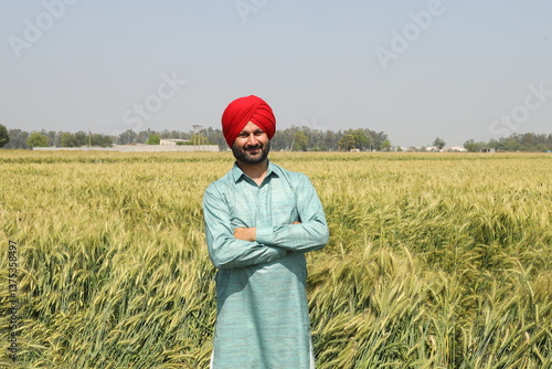 Punjabi sikh farmer standing at wheat agriculture field. Young punjab man, People of India, Copy space. photo
