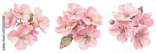 PNG Delicate pink floral clusters, element set on transparent background