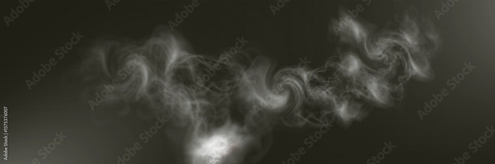 Obraz premium Realistic white smoke on transparent background with soft swirling effect, misty fog, and airy vapor for design projects. 