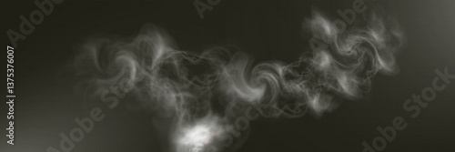 Realistic white smoke on transparent background with soft swirling effect, misty fog, and airy vapor for design projects.	
